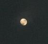 اضغط على الصورة لعرض أكبر. 

الإسم:	DSCF5987 - Copie.jpg 
مشاهدات:	687 
الحجم:	32.6 كيلوبايت 
الهوية:	2804